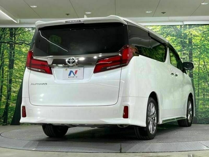 ALPHARD-19