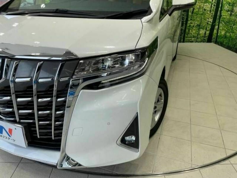 ALPHARD-10