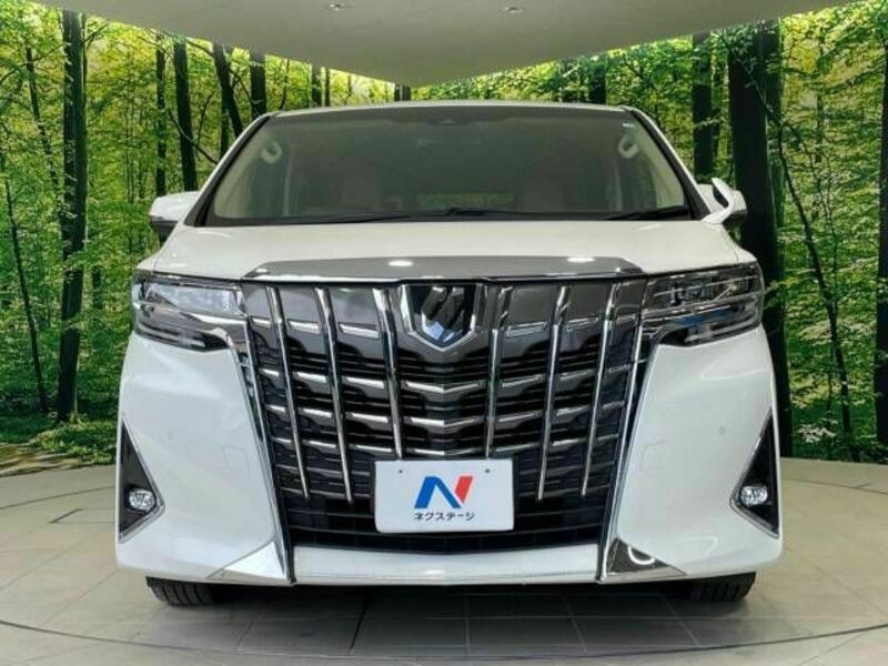 ALPHARD-12