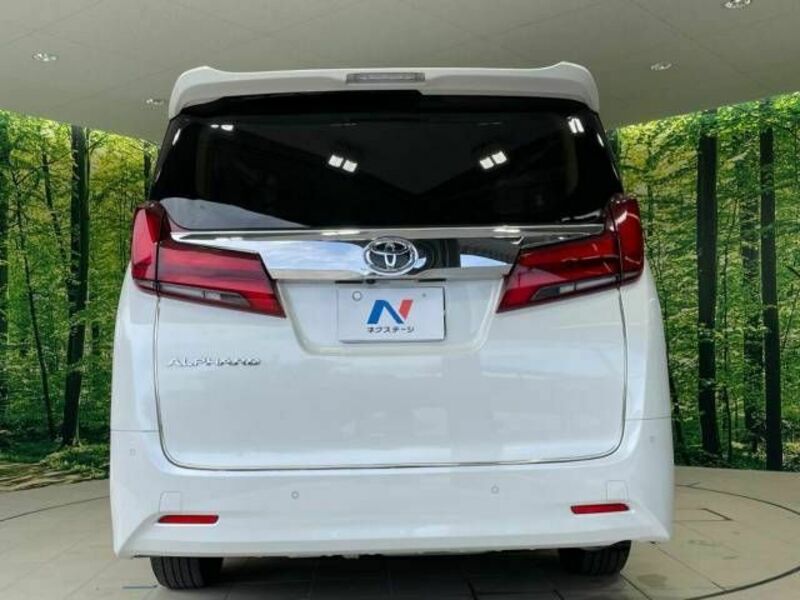 ALPHARD-13