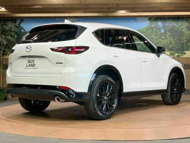 CX-5-17