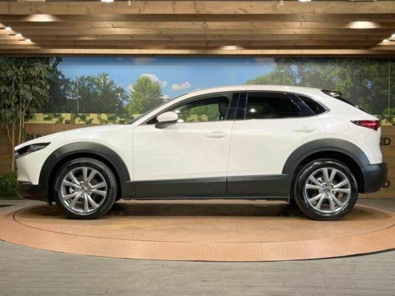 CX-30-19