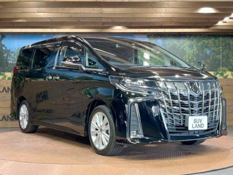 ALPHARD-16