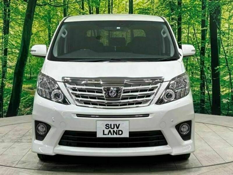 ALPHARD-14