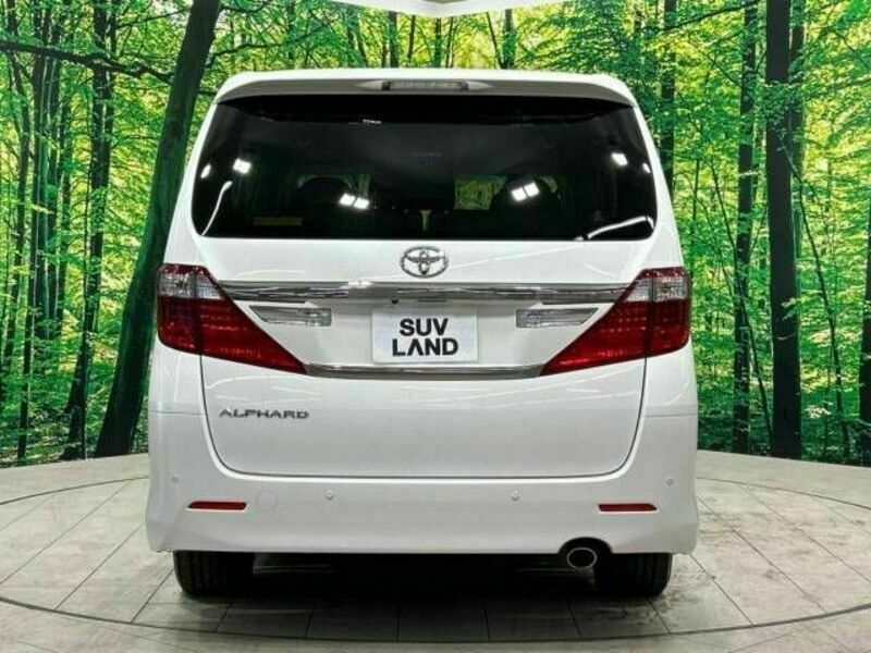 ALPHARD-15