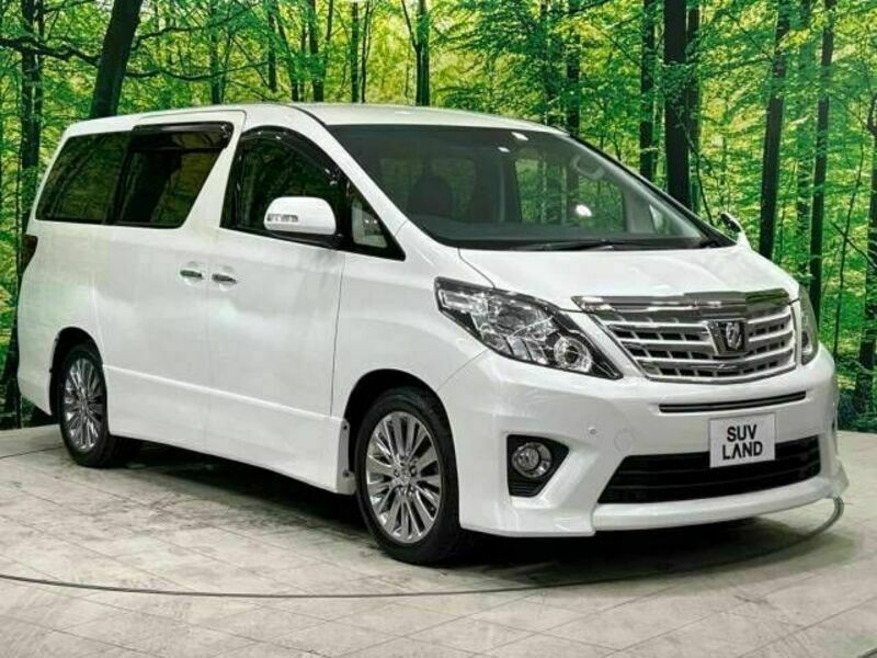 ALPHARD-16