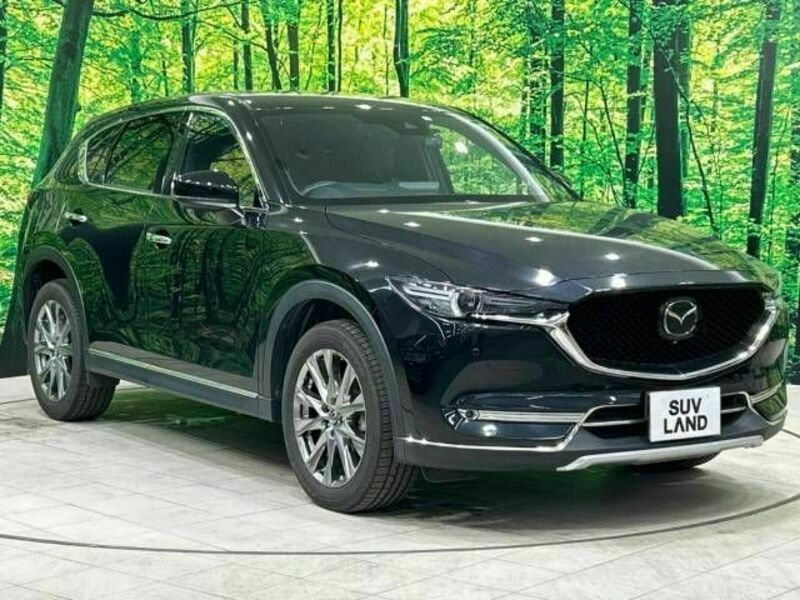 CX-5-16