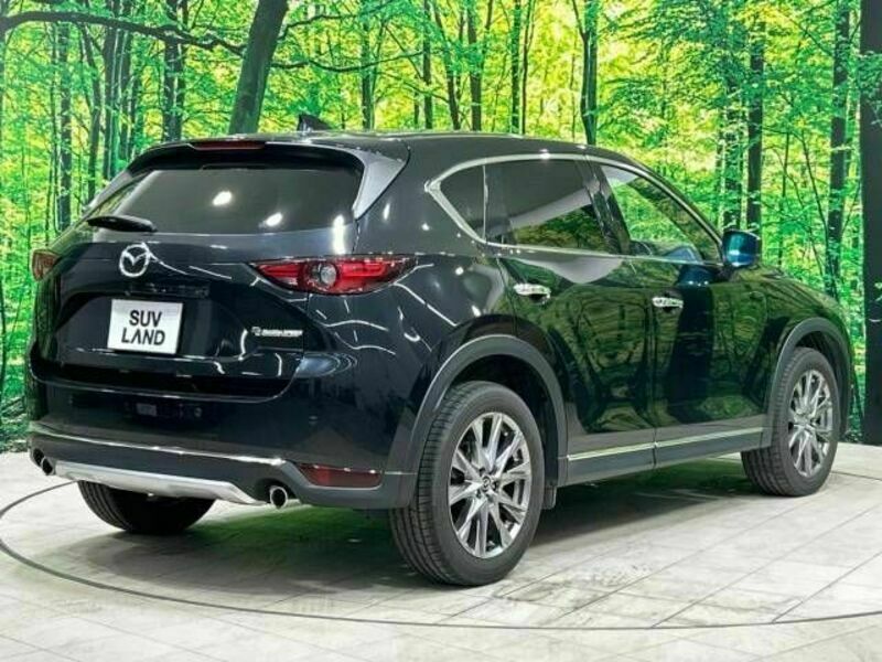 CX-5-17