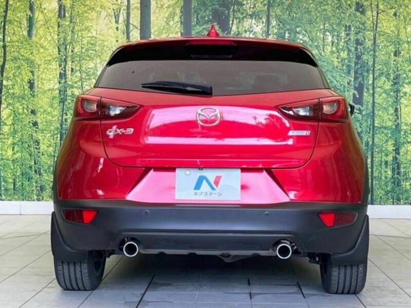 CX-3-15