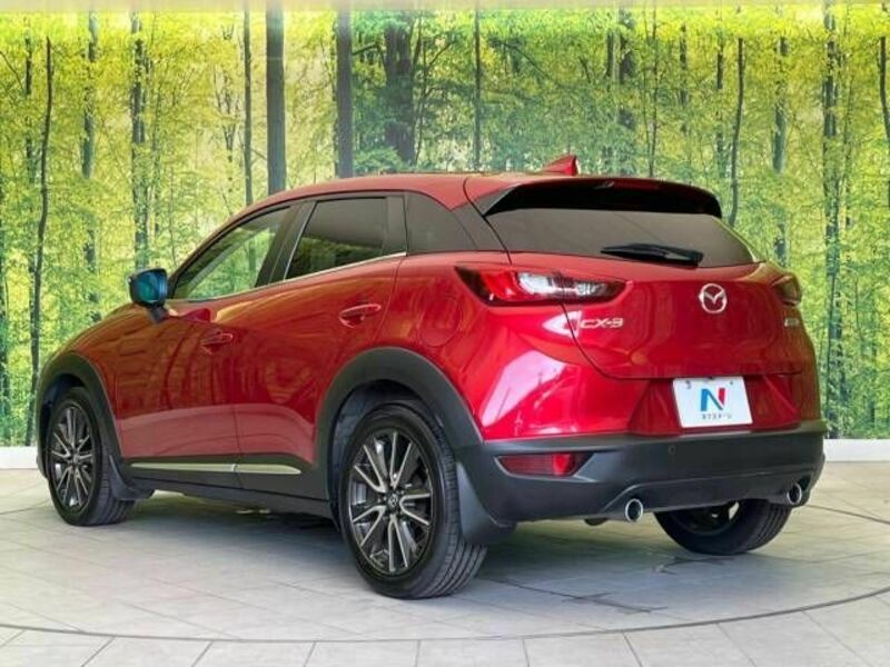 CX-3-17