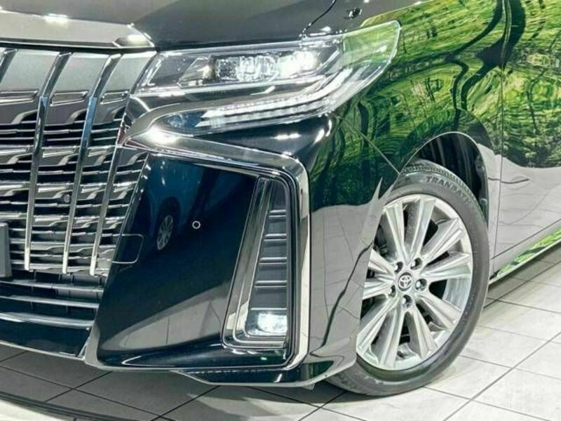 ALPHARD-13