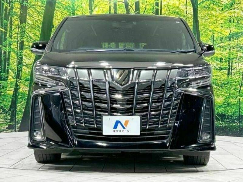 ALPHARD-15