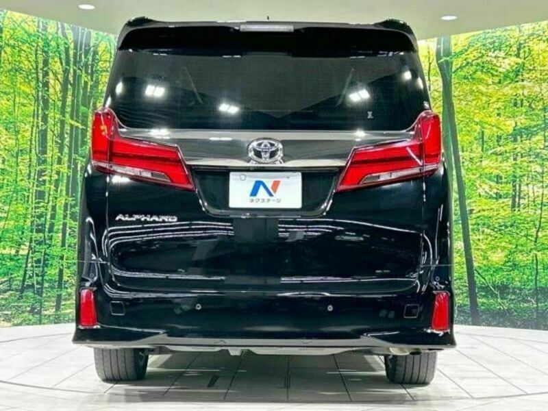 ALPHARD-16