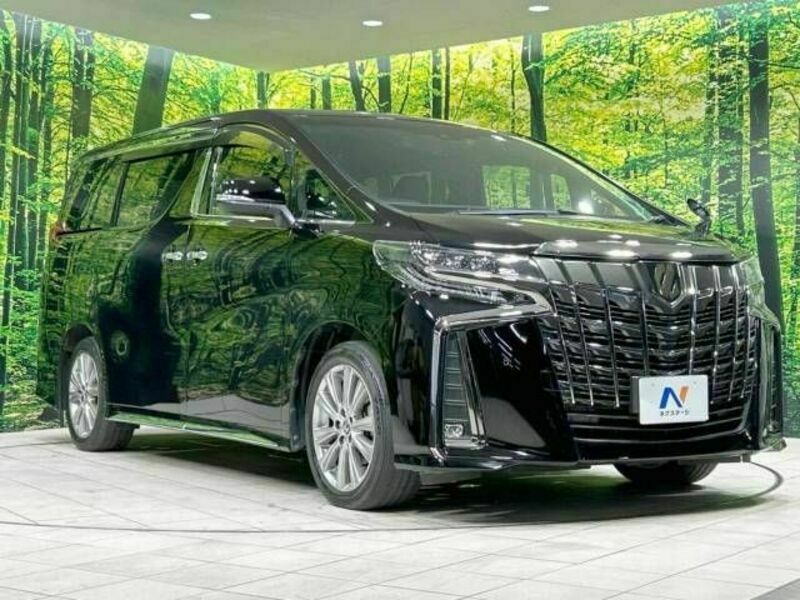 ALPHARD-17