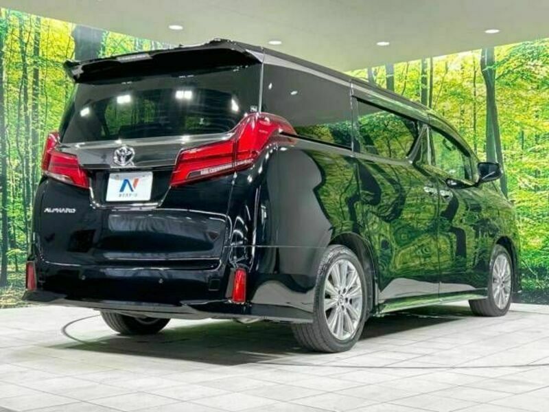 ALPHARD-18