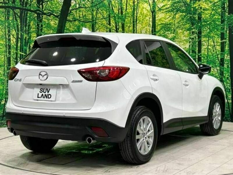 CX-5-17