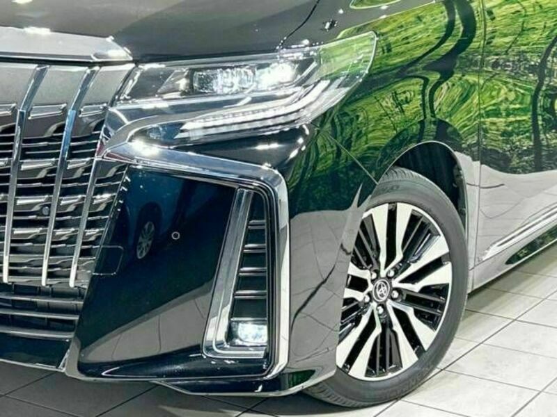 ALPHARD-13