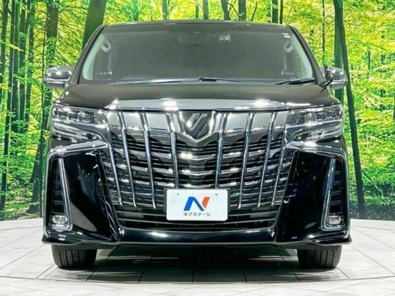 ALPHARD-14