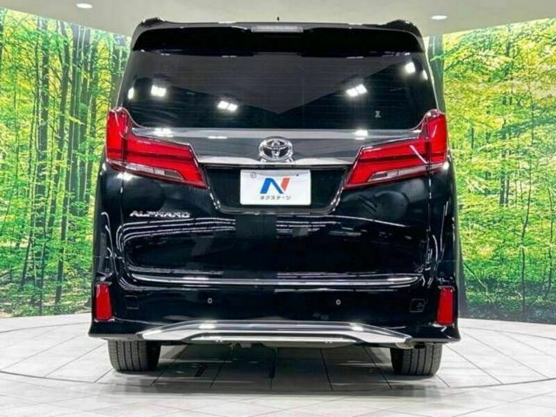 ALPHARD-15