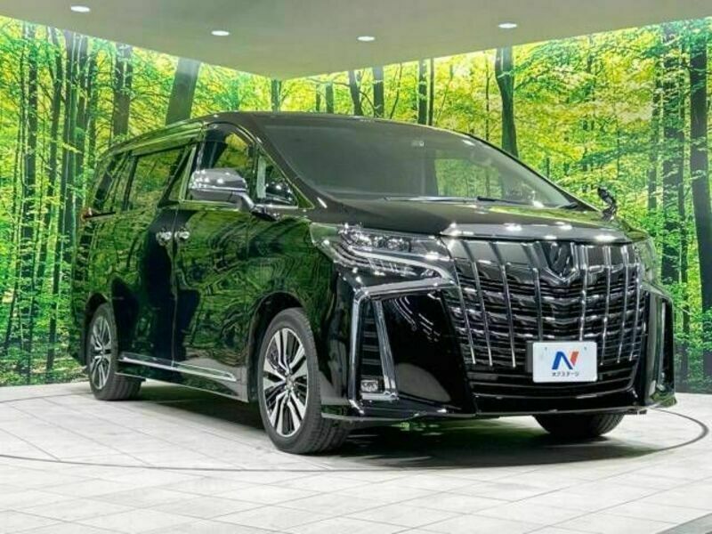 ALPHARD-16