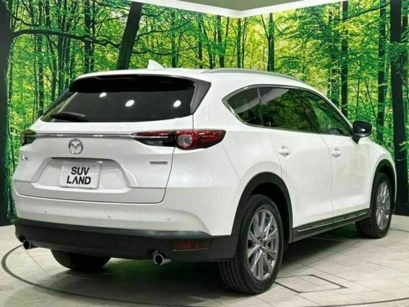 CX-8-17