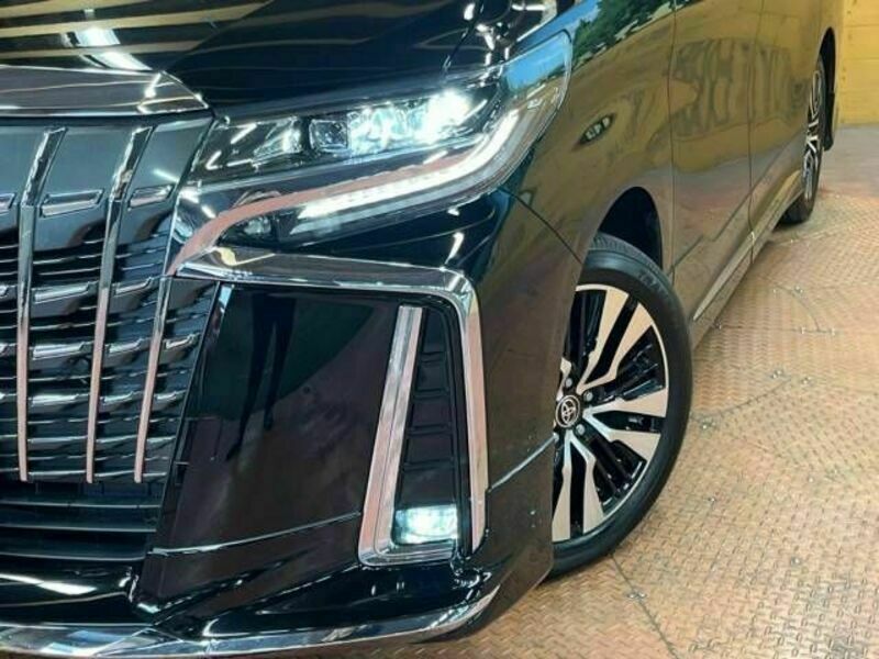 ALPHARD-13