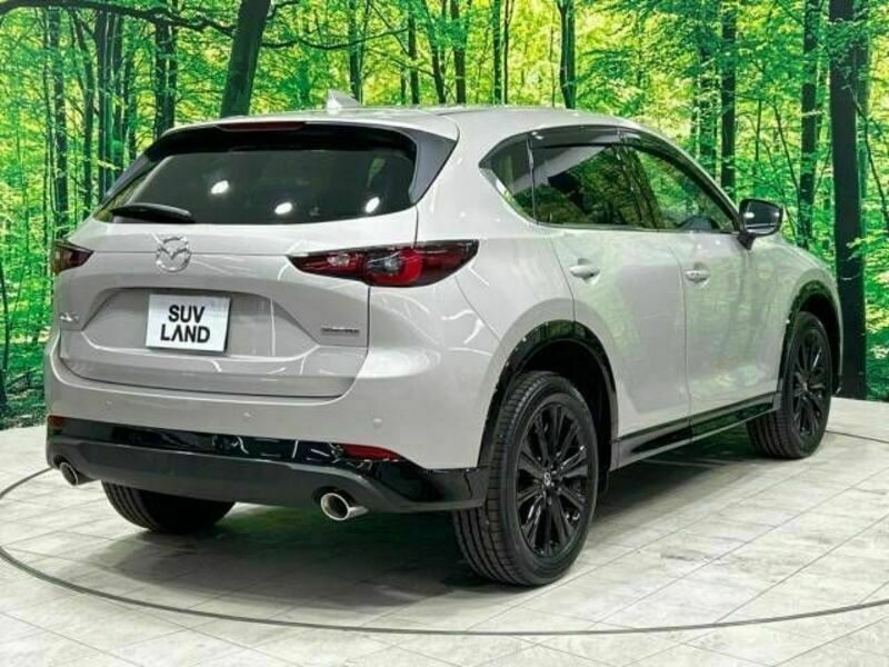 CX-5-17