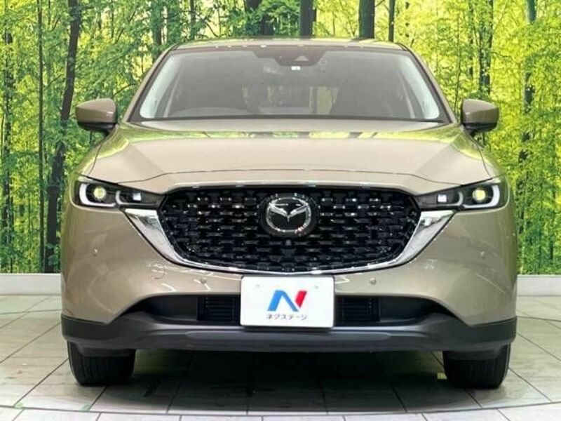 CX-5-15