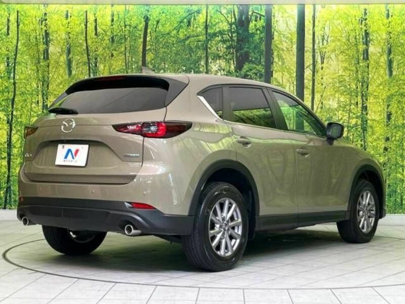 CX-5-18