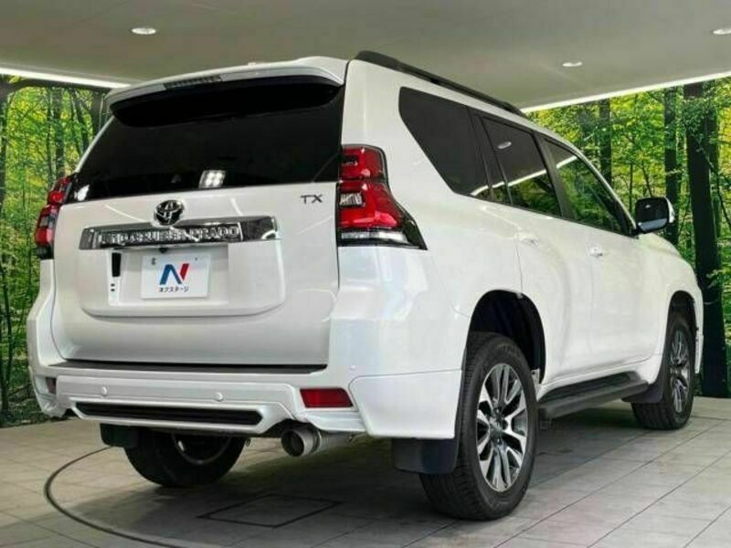 LAND CRUISER PRADO-17