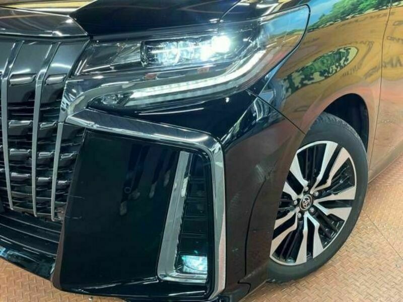 ALPHARD-15