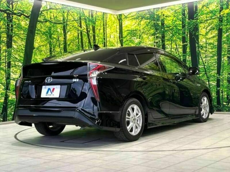 PRIUS-17