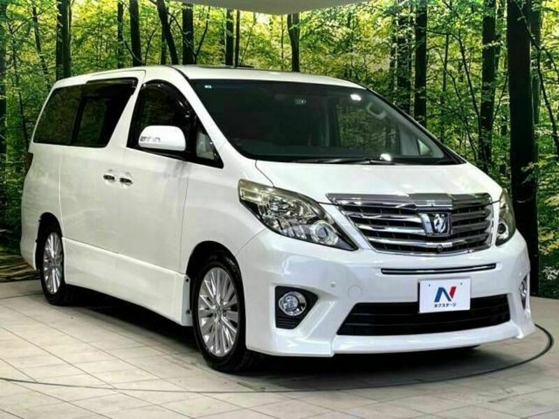 ALPHARD-17