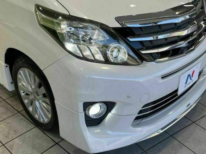 ALPHARD-13