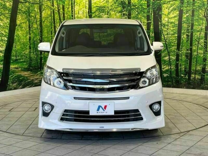 ALPHARD-15