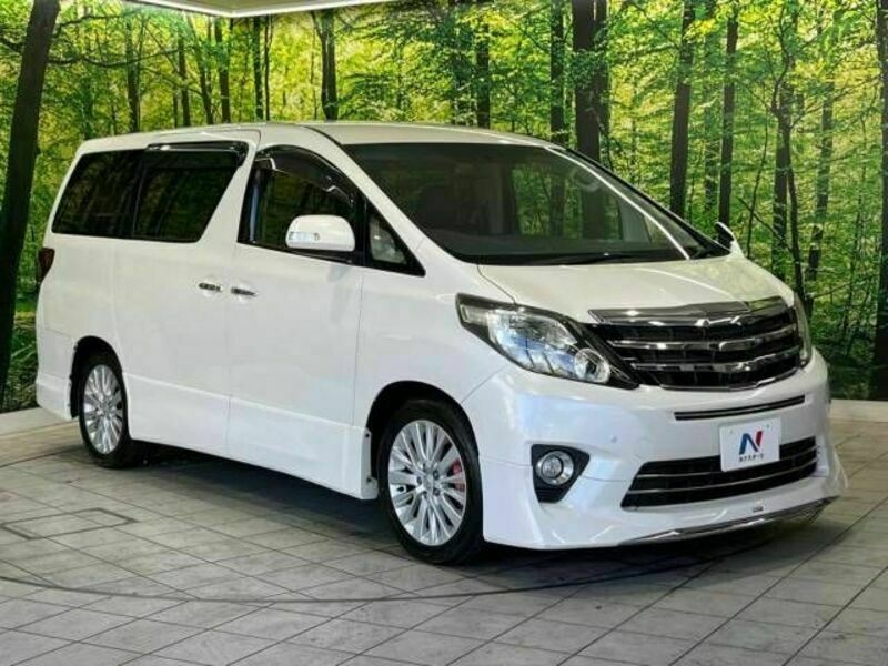 ALPHARD-17