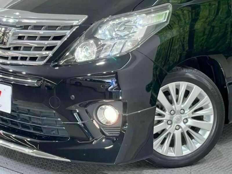 ALPHARD-12