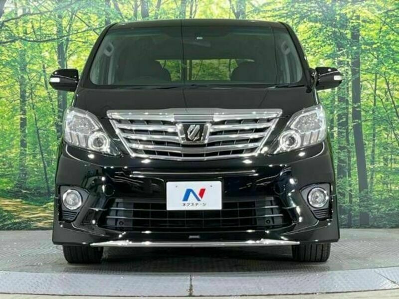 ALPHARD-14