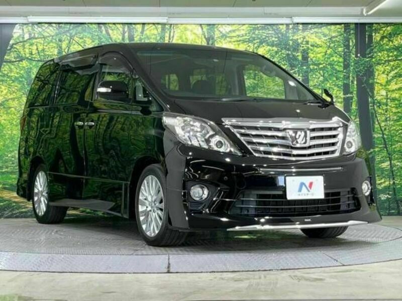 ALPHARD-16