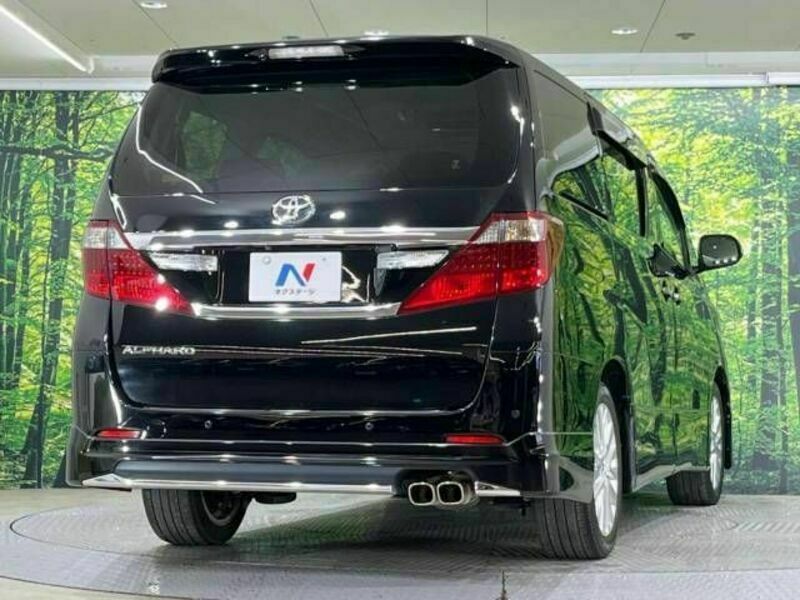 ALPHARD-17