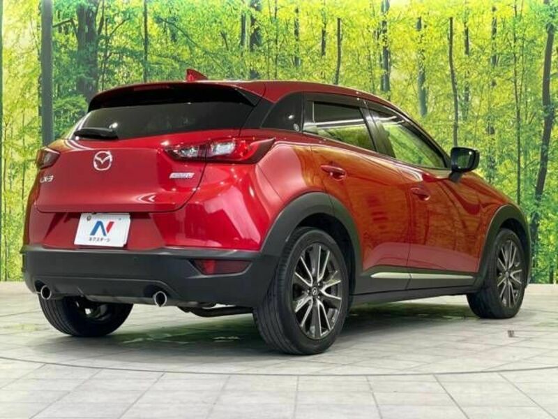 CX-3-17