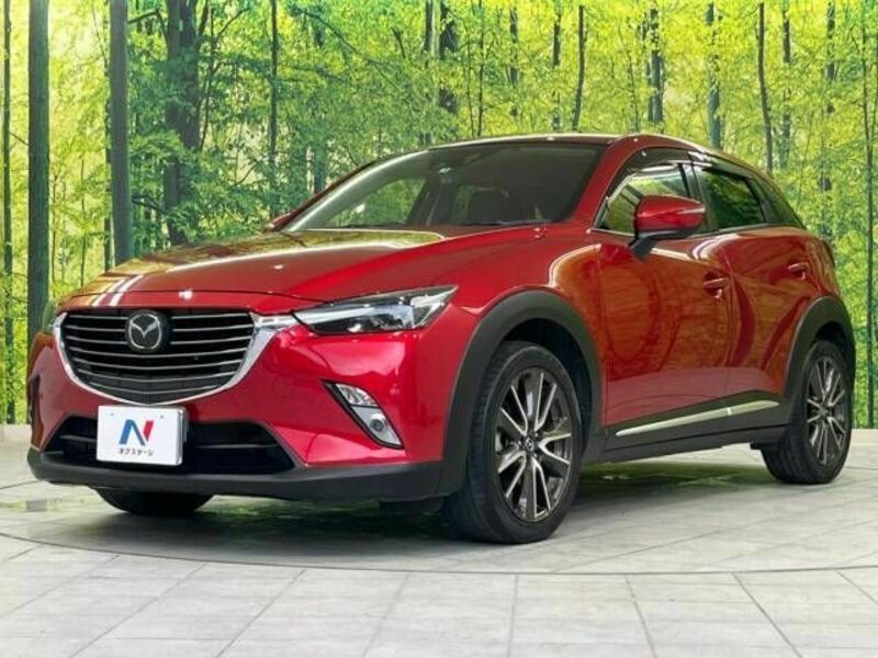 CX-3-19