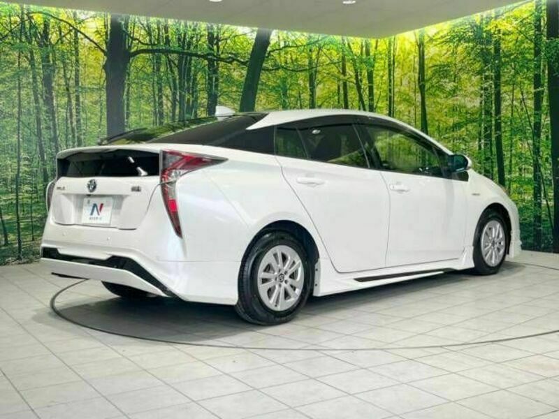 PRIUS-17