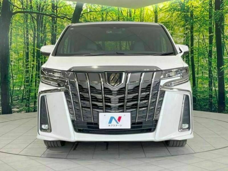 ALPHARD-15