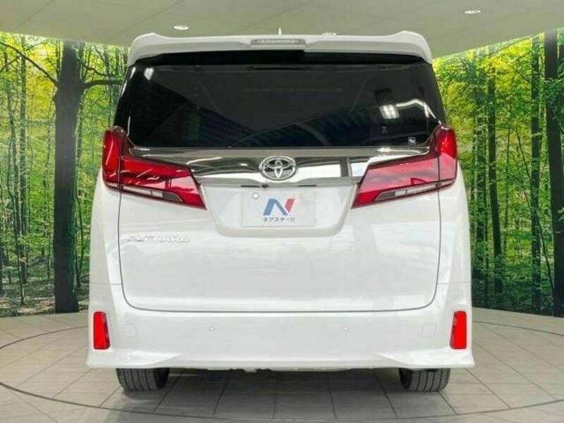 ALPHARD-16