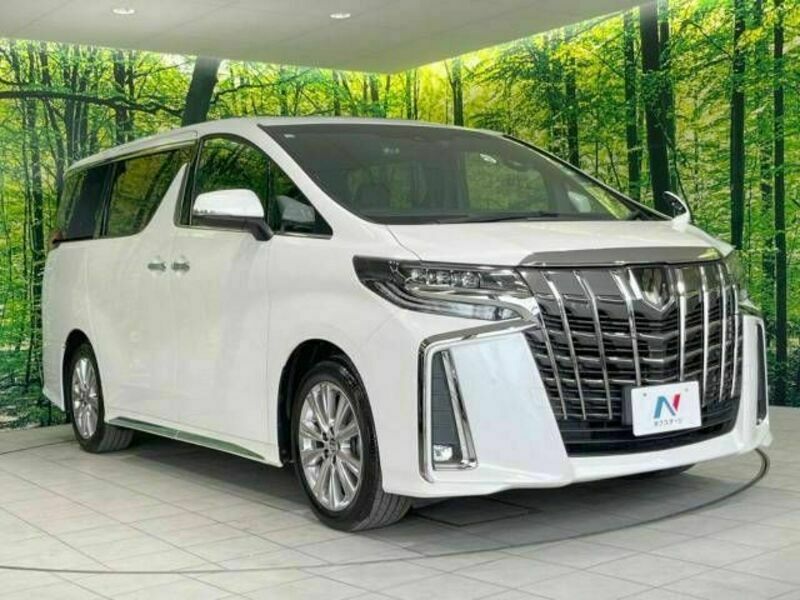 ALPHARD-17