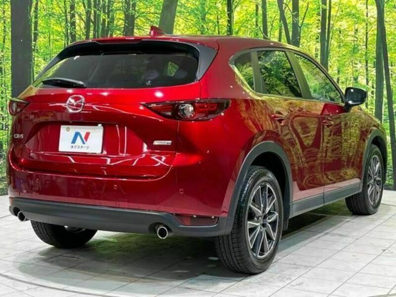 CX-5-17