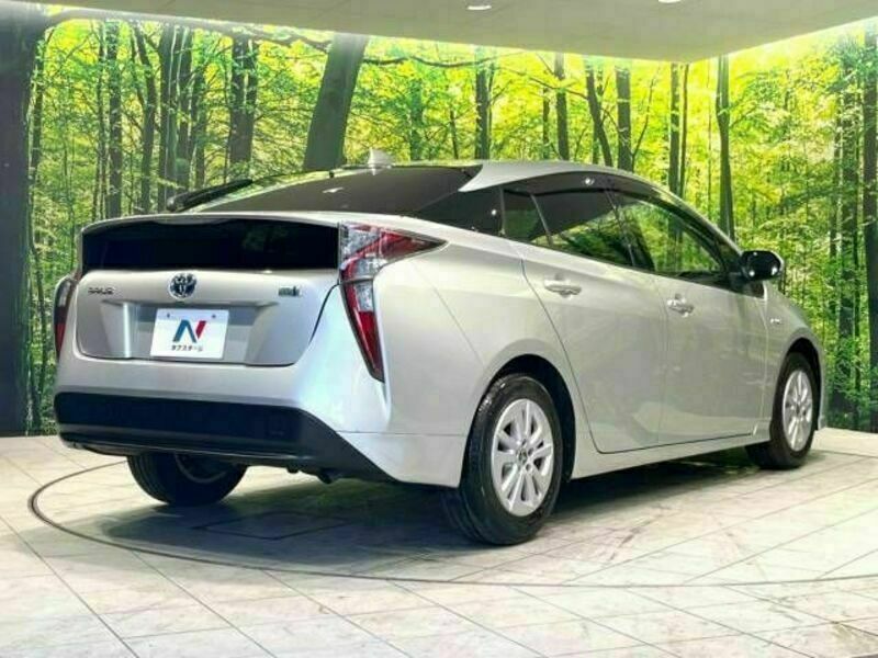 PRIUS-17