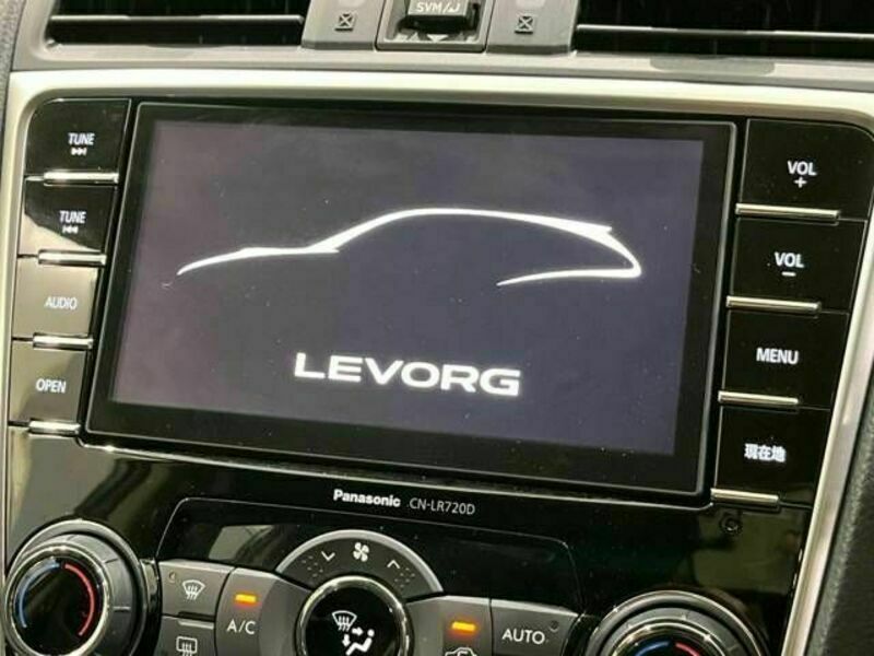 LEVORG-3