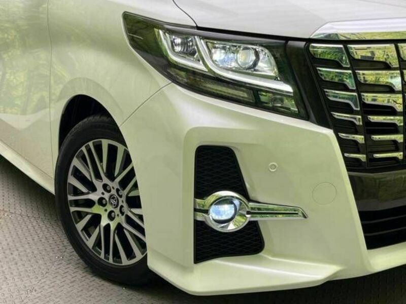 ALPHARD-13